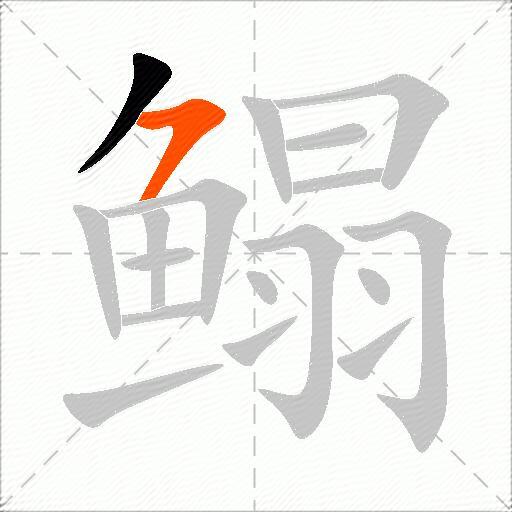 鳎