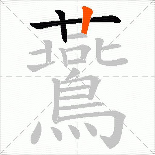 鷰
