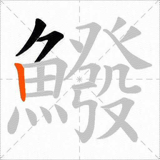 鱍