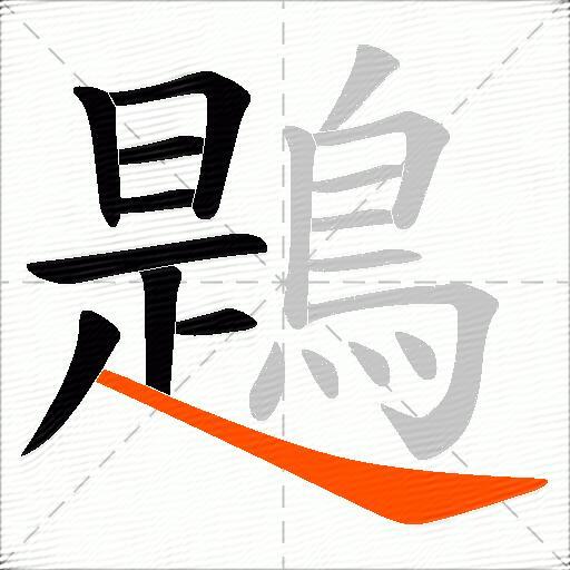 鶗