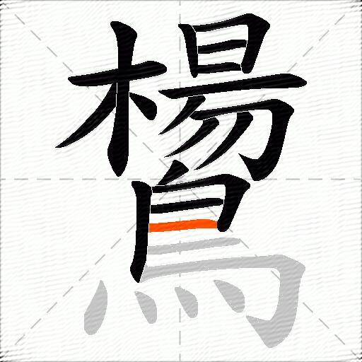 鸉