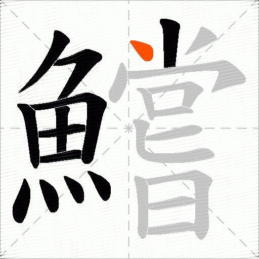 鱨