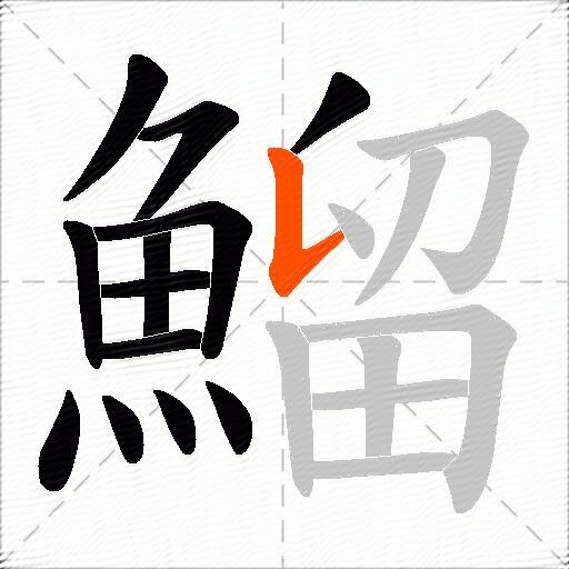 鰡