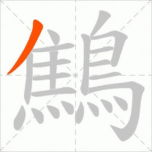 鷦