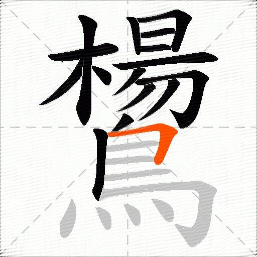 鸉