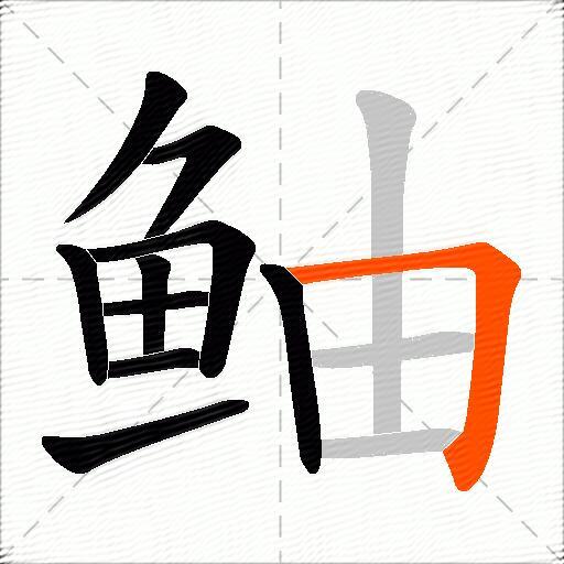 鲉