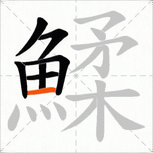 鰇