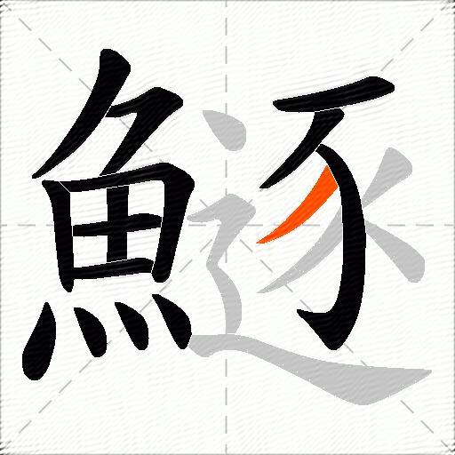 鱁