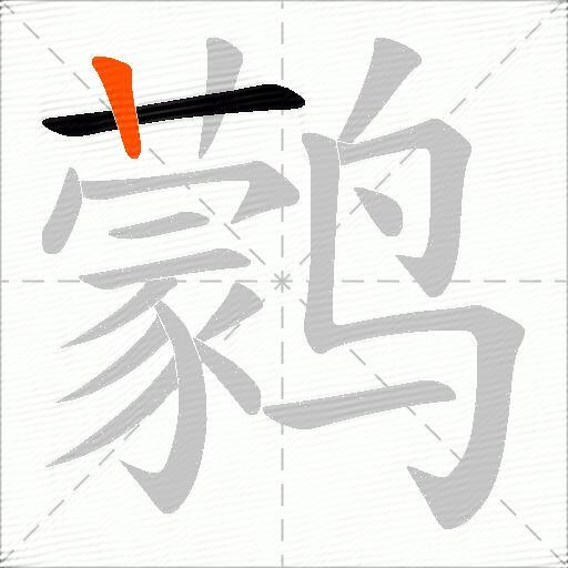 鹲