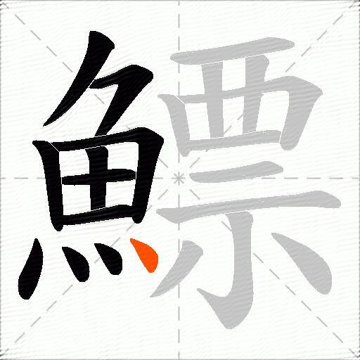 鰾