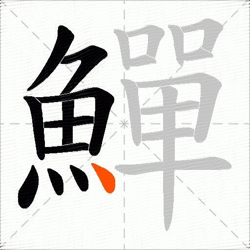 鱓