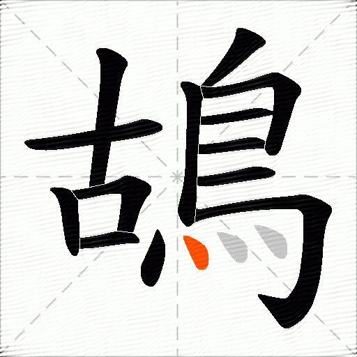鴣