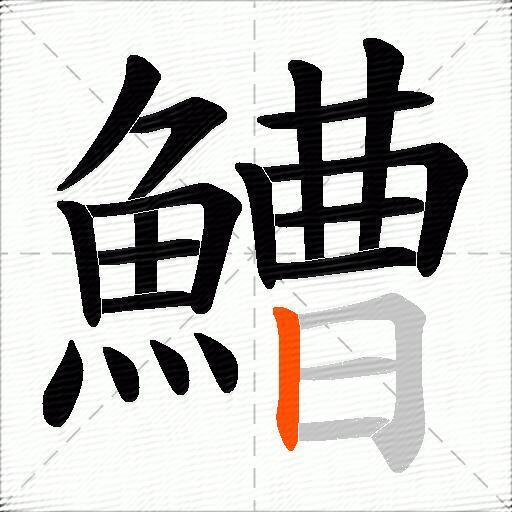 鰽