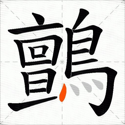 鸇