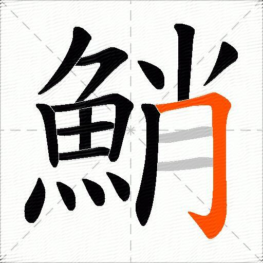 鮹