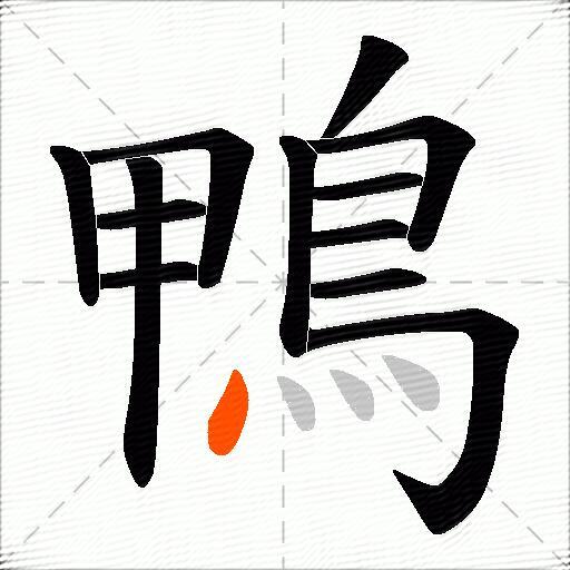 鴨