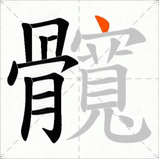 髖