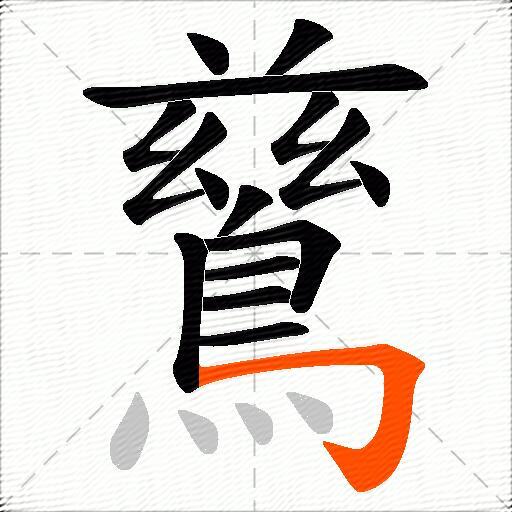 鶿