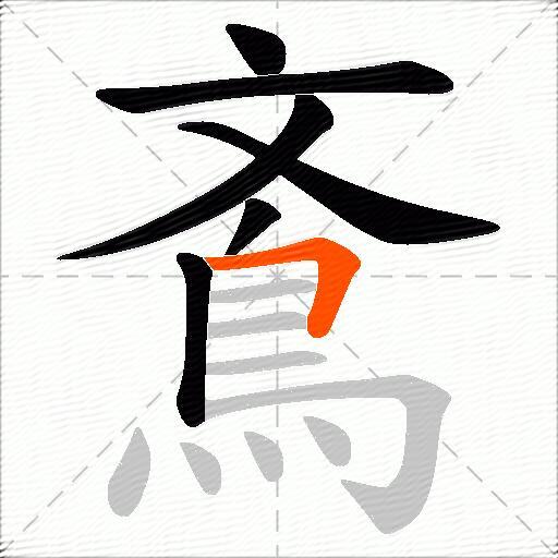 鴍