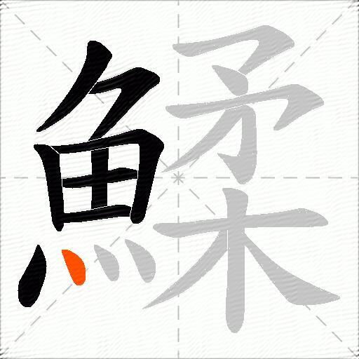 鰇