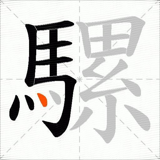 騾