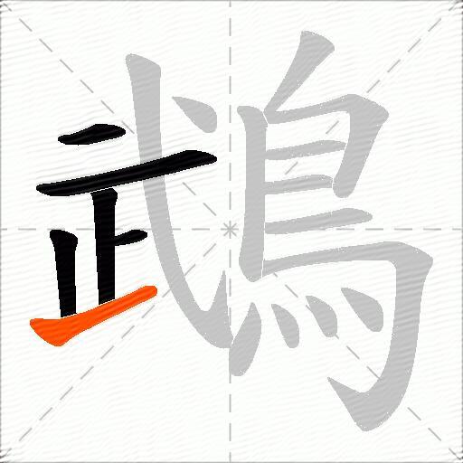 鵡