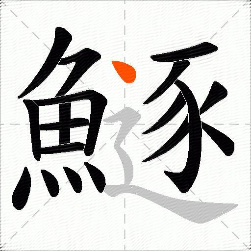 鱁