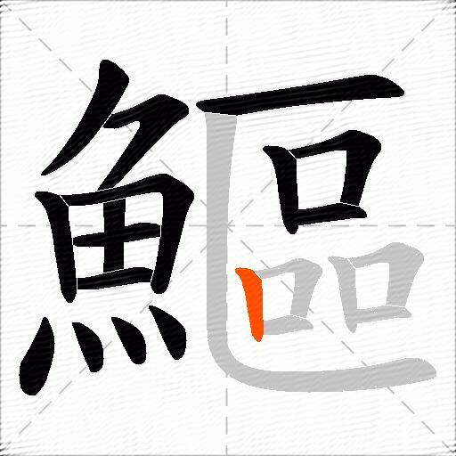 鰸