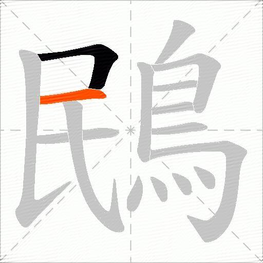 鴖
