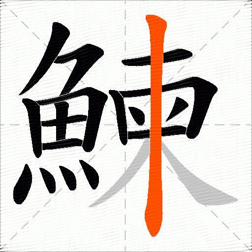 鰊