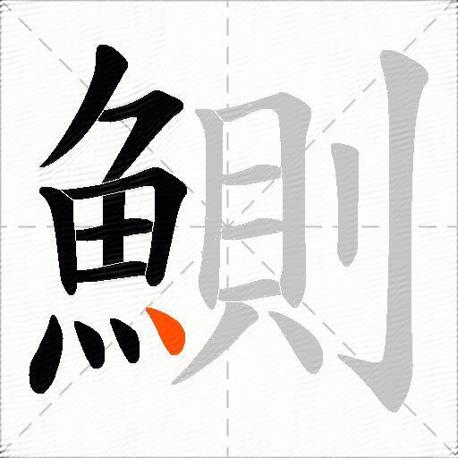 鰂