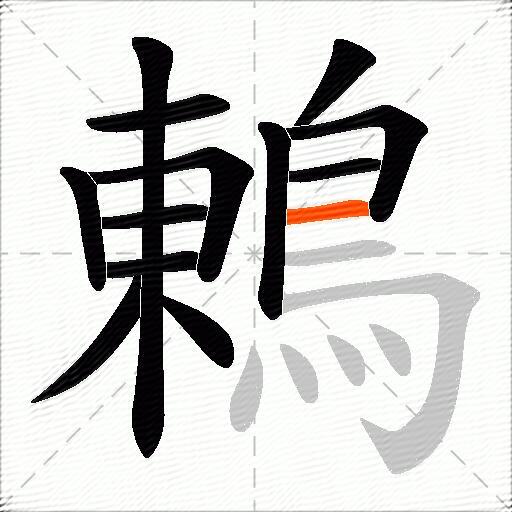 鶇