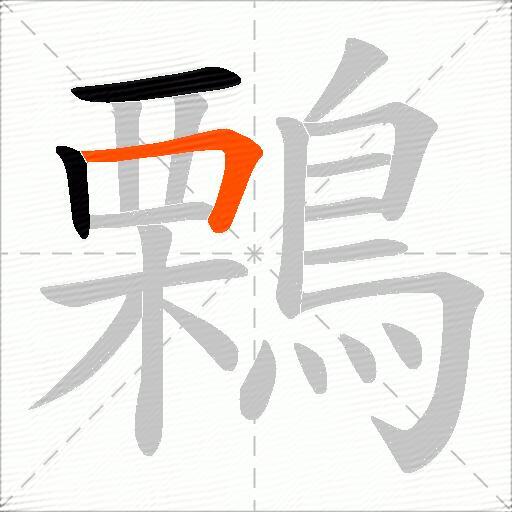 鷅
