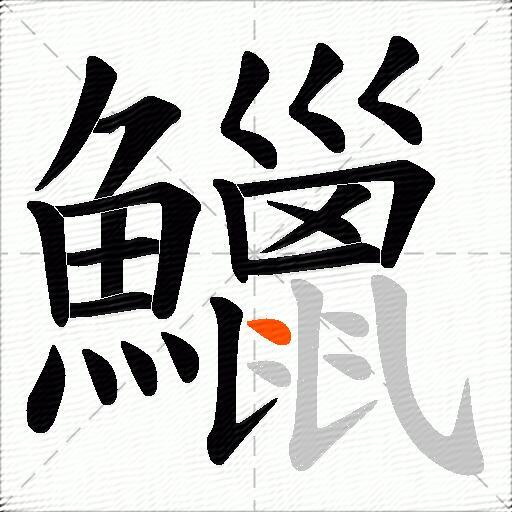 鱲