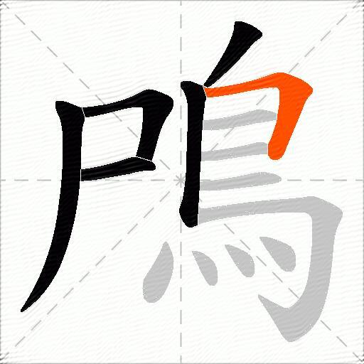 鳲