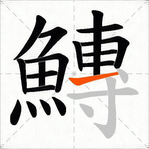 鱄