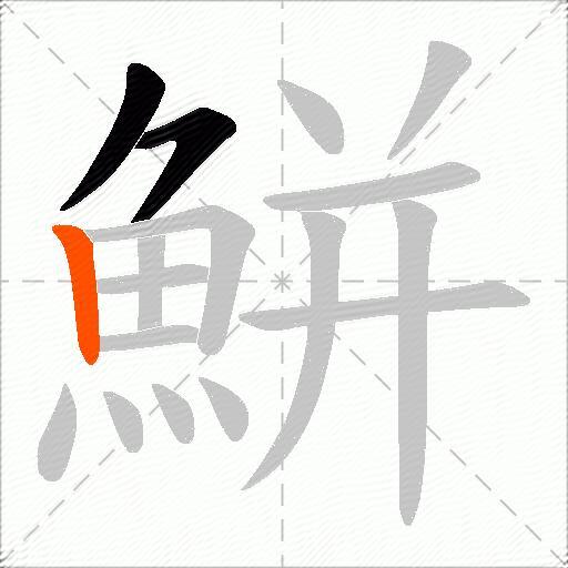 鮩