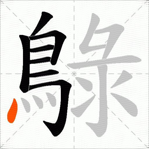 鵦