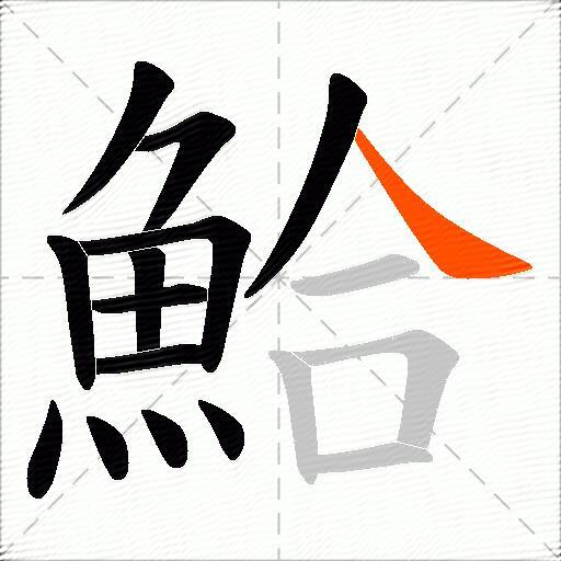 鮯