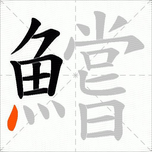 鱨