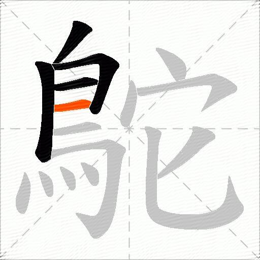 鴕