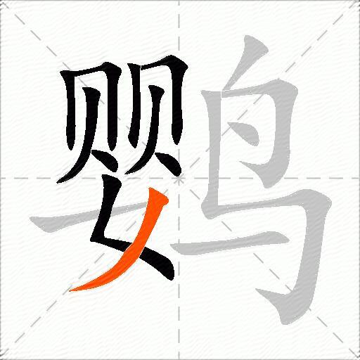 鹦