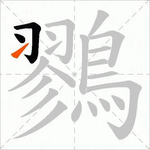 鷚