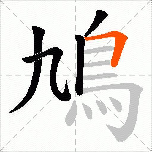 鳩