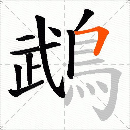 鵡