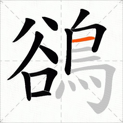 鵒