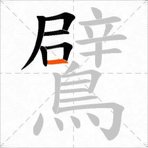 鷿