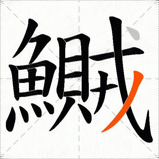 鱡