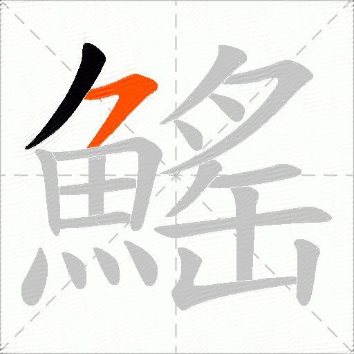 鰩