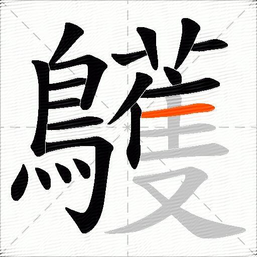 鸌